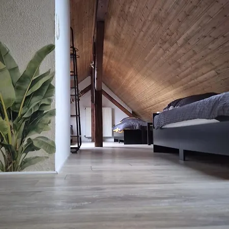 Qverte - Rooftop * Essen